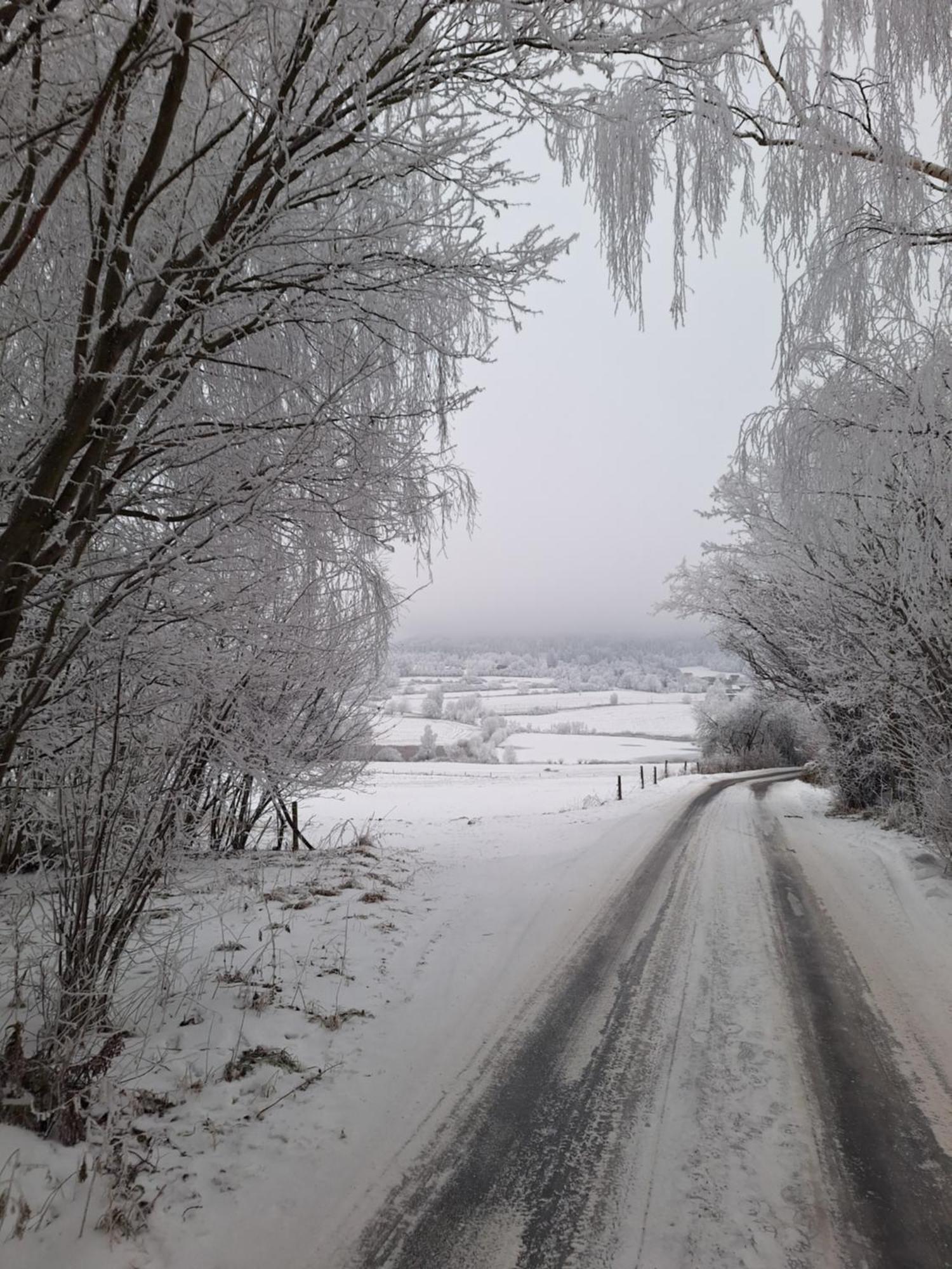 Ubytovani U Krivanku 2 Telč Exteriör bild